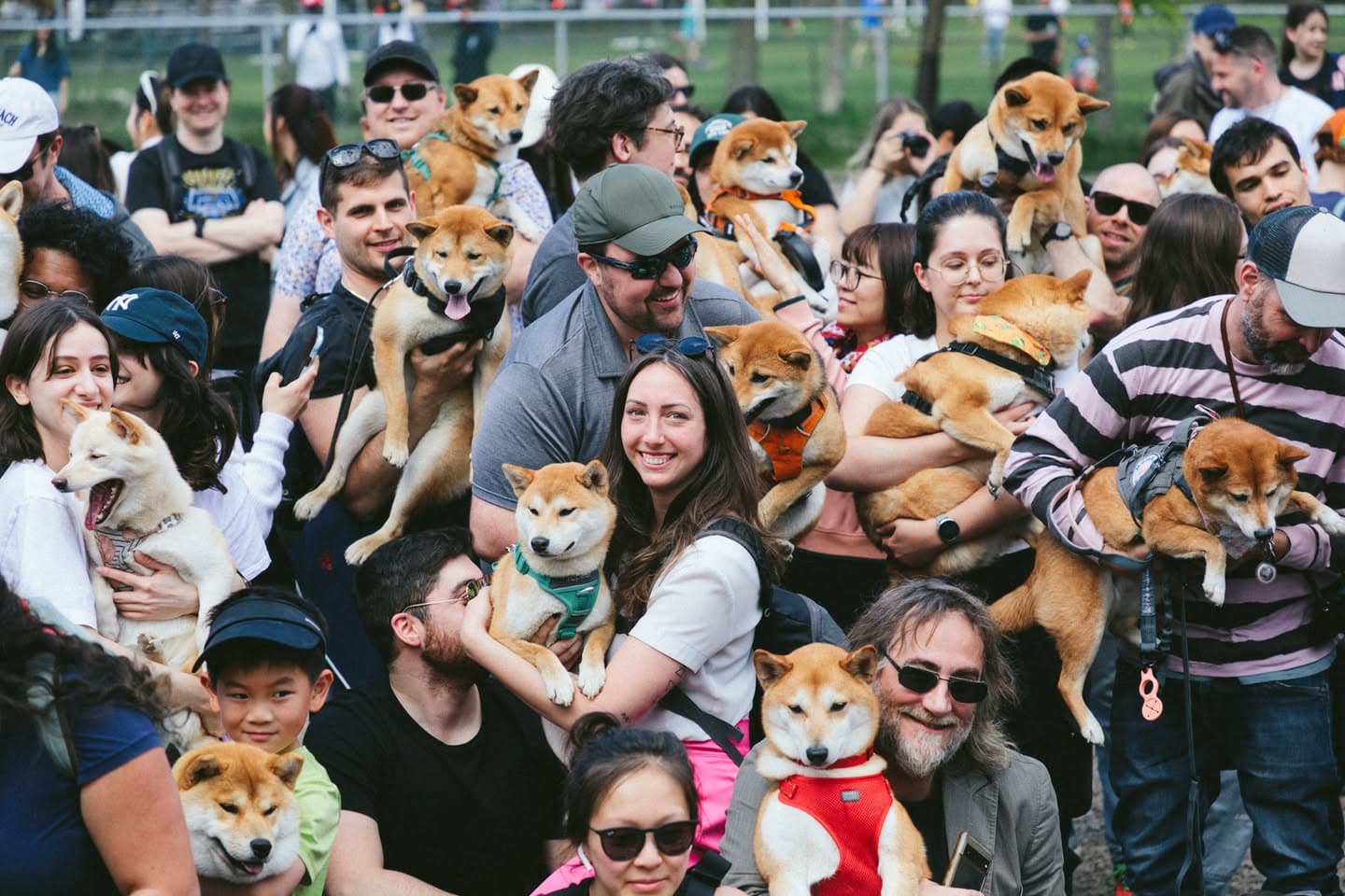 default lsj illustration